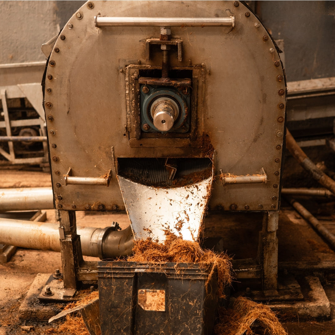 Mill to process agave pinas.